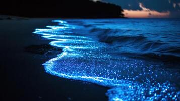 Beachside Bio luminescent Wonder photo