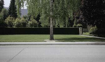 A man sitting on a bench in front of a tree photo