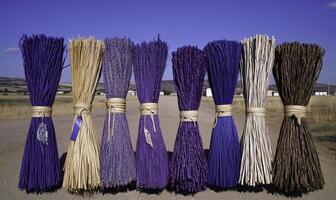 A row of sticks with different colors photo
