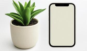 A smartphone and a plant in a white pot photo