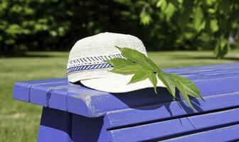 Elegant straw hat resting on a vibrant blue bench in a sunny park, surrounded by fresh green leaves and a serene outdoor atmosphere of nature photo