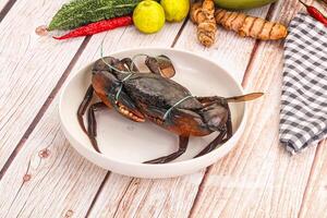 A crab sitting in a bowl with some vegetables photo