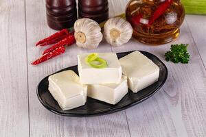 A plate of tofu with a green onion on it photo