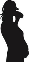 Pregnant Lady Silhouette with Flat Design vector