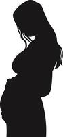 Pregnant Lady Silhouette Isolated on White Background vector