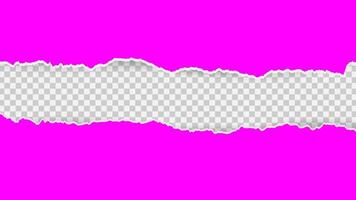 abstract torn paper background pink color vector