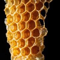 Natural Patterns in Detailed Honeycomb Structures photo