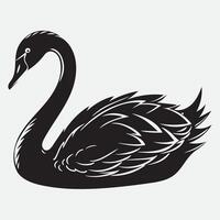 Black and white swan on white background vector