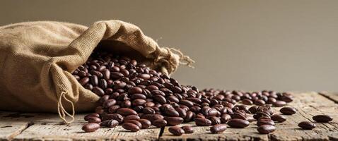 Rustic setting with cocoa beans spilling from burlap sack on wooden table in workshop. photo