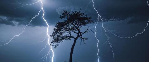 Lightning strikes over a silhouetted tree during a storm photo