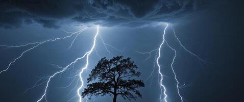 Lightning strikes over a silhouetted tree during a storm. photo