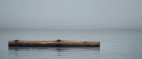 A log floating in the water on a foggy day photo