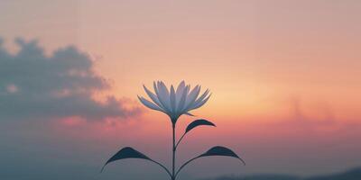 A flower is shown in front of a sunset photo