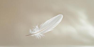 A white feather is floating in the air photo