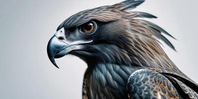 Closeup Profile of a Majestic Bird of Prey with Intense Gaze. photo