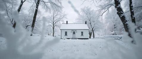 Snowy Landscape with Small White House and Snow Covered Trees photo