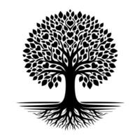 A black and white tree with roots vector
