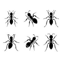 black and white silhouette of ants on a white background vector