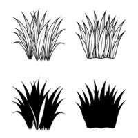 four different types of grasses on a white background vector