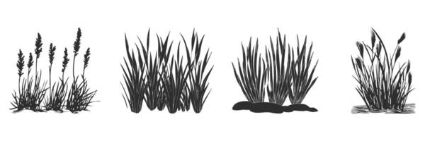Silhouette Of Various Grass Types Set. Natural Elements For Landscaping And Design Isolated Illustration Collection vector