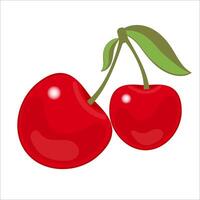 Pair of cherries on a white isolated background. vector