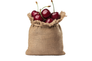 Fresh cherries in burlap sack with stems and dew drops png