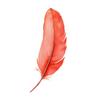 Red feather with intricate details and soft texture in close-up view png