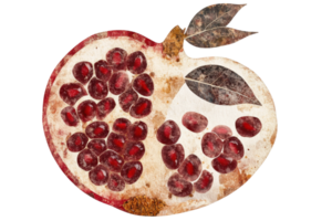 Artistic abstract pomegranate with seeds and leaves in vintage style png