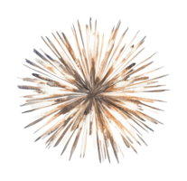 Explosive starburst pattern with radiating spikes in burst formation png