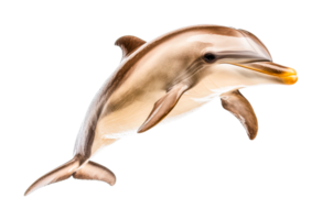 Dynamic dolphin jump with bright eyes and sleek body png