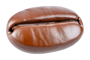 Close-up of a single shiny coffee bean displaying rich texture and details png