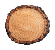 Cross-section of tree trunk with distinct growth rings and bark png