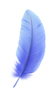 Vibrant blue feather with intricate details and textured surface png