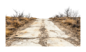 Rugged pathway through arid terrain with sparse vegetation png