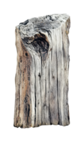 Weathered driftwood log with unique patterns and textures png