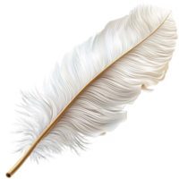 Feather White Soft Delicate Nature Item, Soft White Feather Delicately Collected from Nature to Add Elegance and Grace to Your Decor png