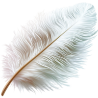 Feather White Soft Delicate Nature Craft Element Gentle and Beautiful png