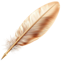 Feather is a white quill from a bird, often used for writing or as a decorative element, symbolizing grace and beauty in nature, creating a timeless connection creativity andistic expression. png