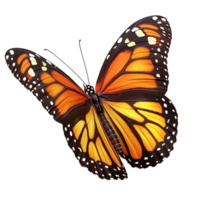 Butterfly orange colorful insect native to nature, perfect for adding a vibrant decorative element to gardens and outdoor spaces png