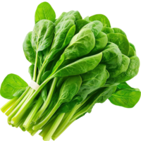 Spinach green fresh vegetable perfect for salads, providing a healthy, nutrientrich ingredient for your meals and boosting your diet png