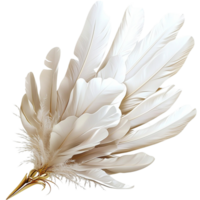 White Feathers Bundle Elegant Flowing Design and Romantic Softness, a Decorative Accessory Symbolizing Lightness and Freedom, Ideal for Craft Projects, Gifts, or Home Decor Angelic Charm, png