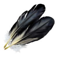 Black Feathers Bundle Elegant Design and Mysterious Style, A Romantic Decorative Piece that Brings a Touch of Drama and Charm, Perfect for Adding Elegance to Any Space or Special Occasion, png