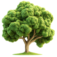 Lush Green Topiary Tree Sculpted Natural Design, Offering Whimsical Charm and Botanical Beauty, A Unique Decorative Element for Indoors or Garden Spaces Bringing Naturesistry into Everyday Life, png