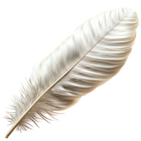 White Feather Nature Symbol,Soft white feather symbolizing elegance, purity, and festive charm, perfect as a decorative accessory foristic displays, boho vibes, or graceful seasonal arrangements. png