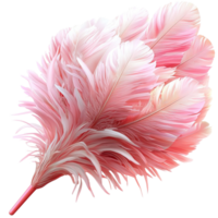 Pink Feathers Nature Elegance Festive Symbol Decorative Accessory Charm Design png