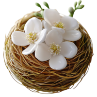 Wicker Nest White Flowers Elegant Decorative Accent Nature Beauty Statement Piece Timeless Charm Delicate Craftsmanship Essential Beauty Romantic Symbol Craftsmanship png
