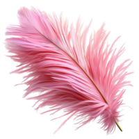 Pink Feather Quill Soft Texture and Elegant Design Functioning as a Vintage Writing Tool Providing Whimsical Flair for Creative Spaces and Classic Correspondence png