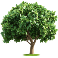 Green Tree Lush Foliage Natural Texture Whimsical Design Botanical Decor Element Charm png
