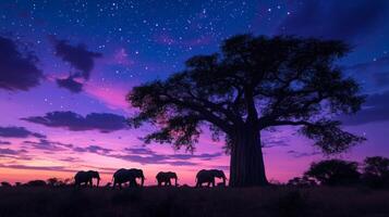 Majestic elephants silhouetted against colorful starry night sky photo