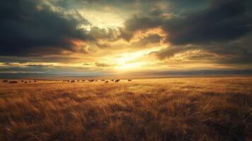 Golden serengeti sunset over open plains with grazing wildlife photo